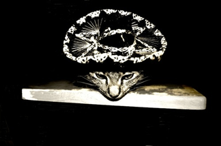 Illustration for article titled Shooting Challenge Pets Gallery 2